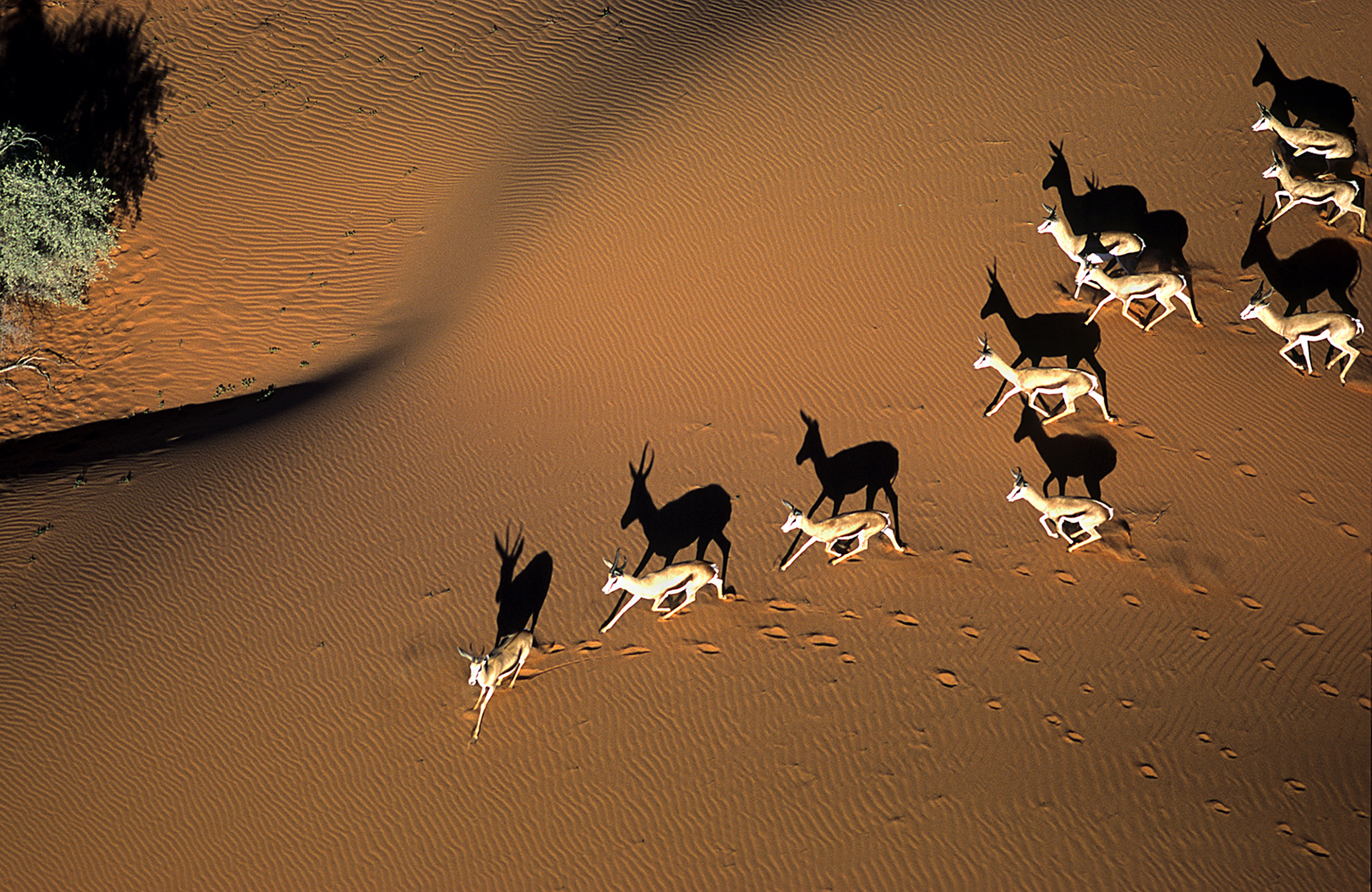 Kalahari-Experience-main banner