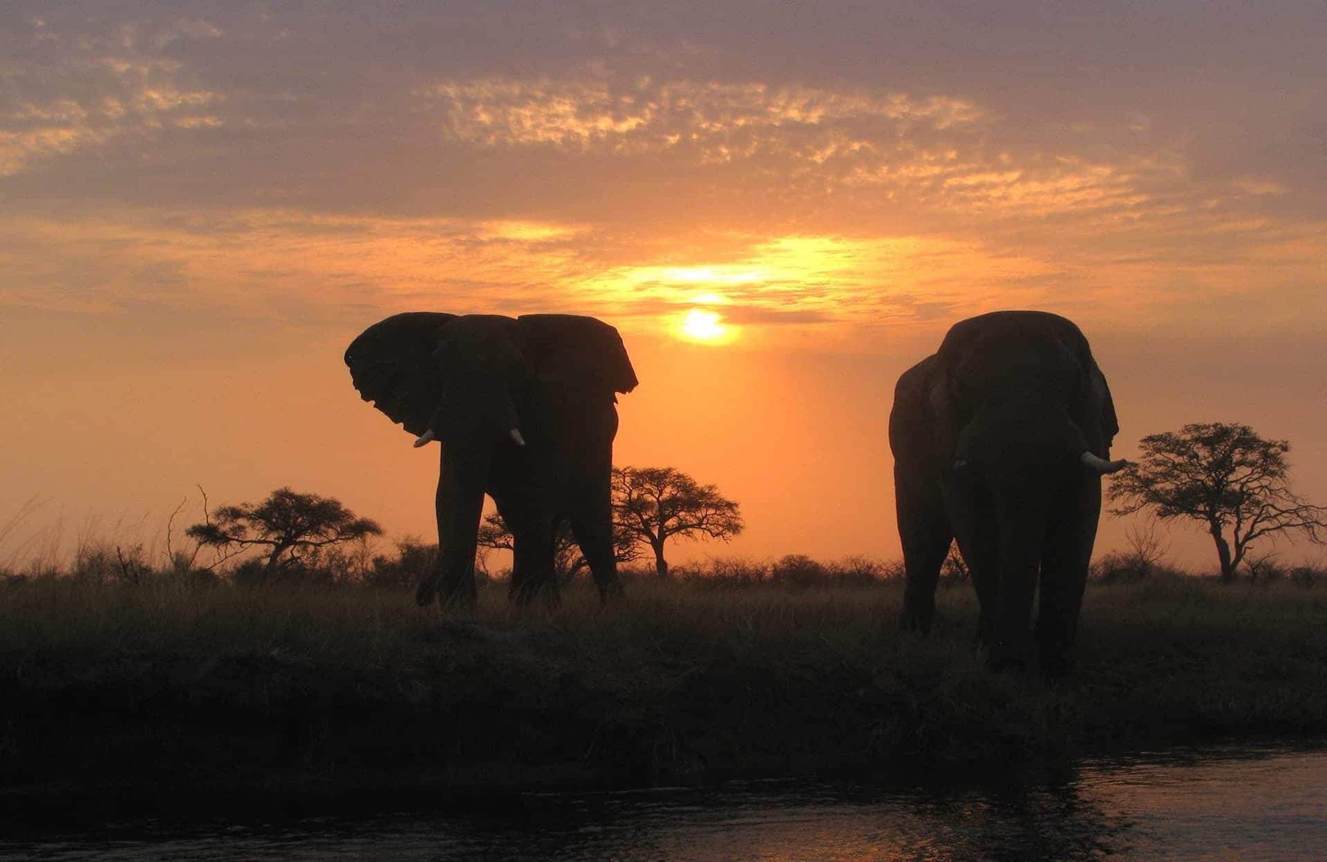 Zambezi-Experience_main banner