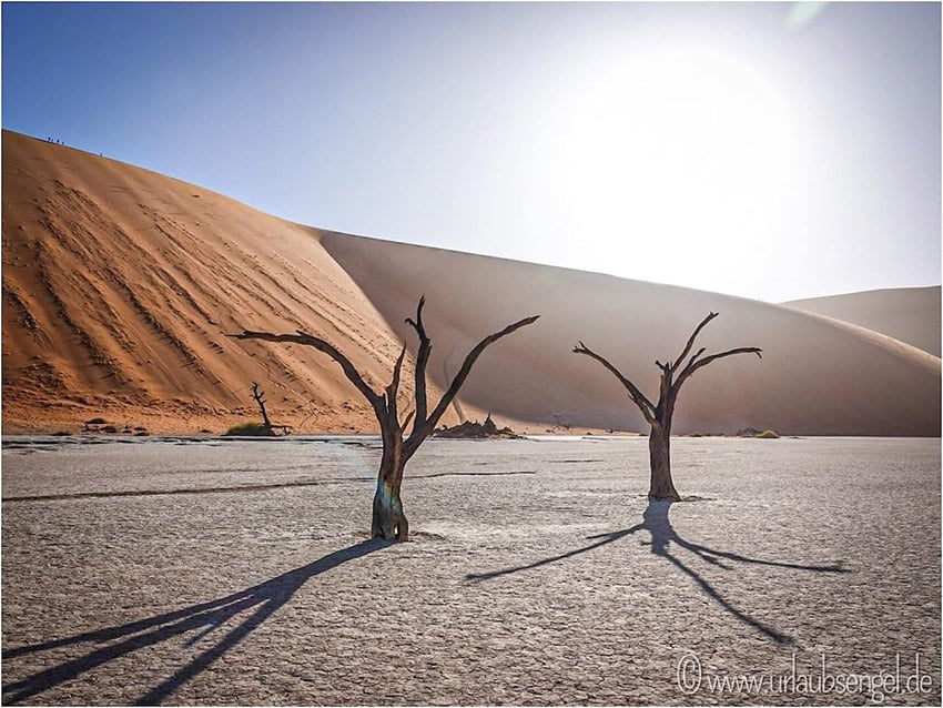 Deadvlei, Namibia_photo Urlaubsengel.de
