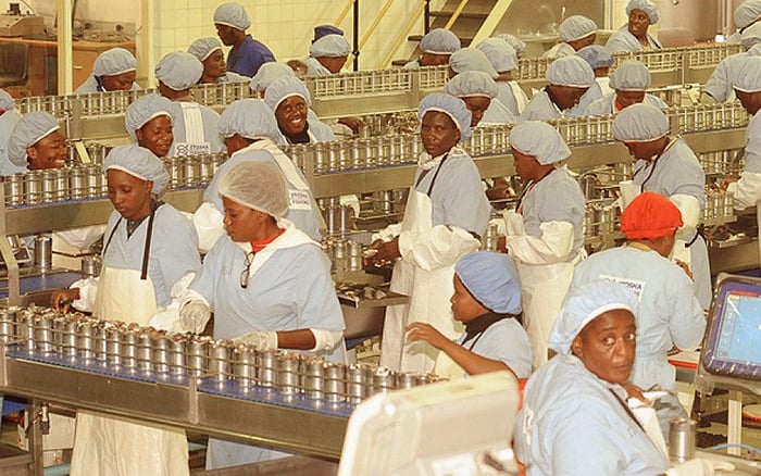 GONDW_Fishfactory_pic_by_EtoshaFishing-web-1