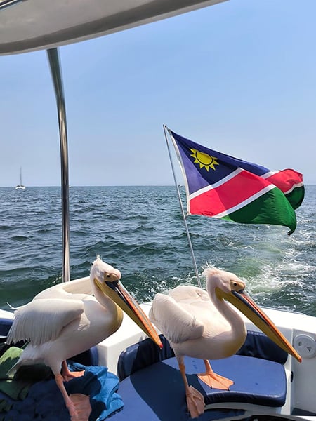 Activities, marine adventure, Namibia_photo by Juliane Tyroller