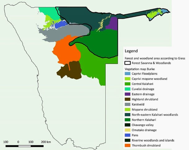 22-07-26-forests-in-Namibia-2016