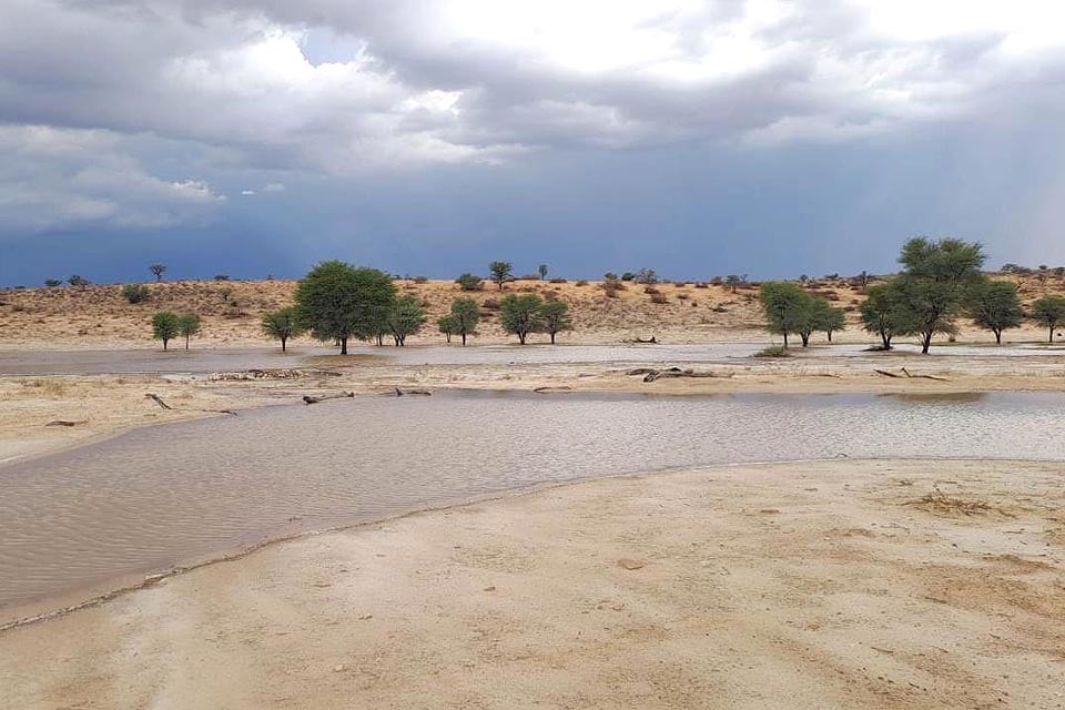 25-11-14 Exceptional rainfall in Kgalagadi Park - SANParks 25-11-11 web 960 x 640