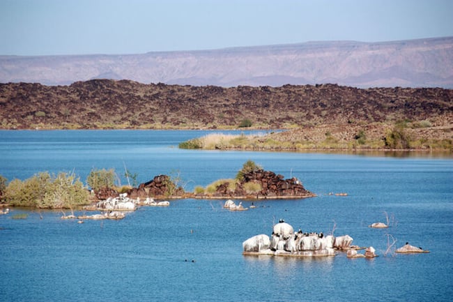 Lake Islands Naute Dam Namibin.org