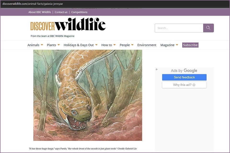 fossil amphibian Gaiasia jennyae BBC Discover Wildlife northwest Namibia