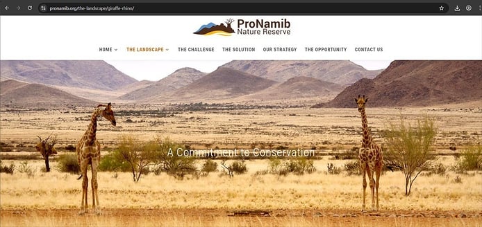 Giraffes have returned to the ProNamib Nature Reserve (PNNR) southeast of Sesriem/Sossusvlei on the eastern edge of the Namib Desert since 2022.  Photo: Screenshot from the ProNamib Nature Reserve website