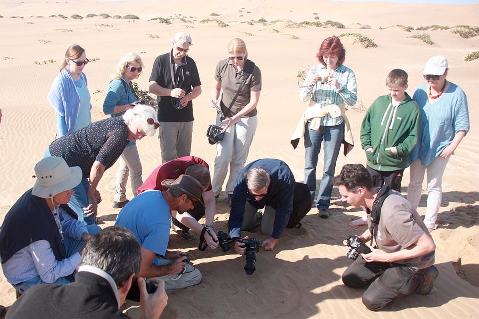25-11-06 gecko photo group - Living Desert Tour Swakopmund 15-05 web 960 x 640