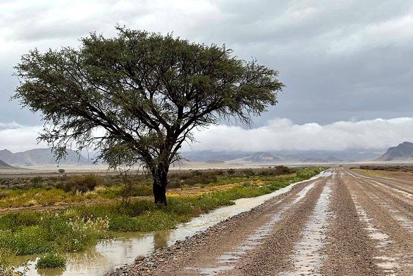 Winter rain on road C19 between Solitaire and Sesriem Photo Post from 19 June 2026 on Gondwana Collection Namibia Facebook page