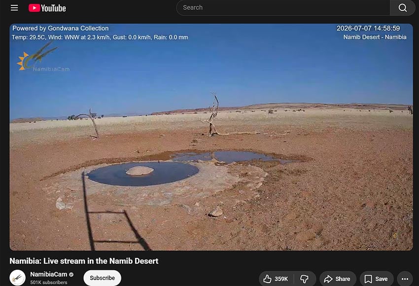 Contrast programme to stress and confinement of everyday life in the city 'Live Stream in the Namib Desert' on YouTube channel 'NamibiaCam' of Gondwana Collection Namibia Photo Screenshot of live stream