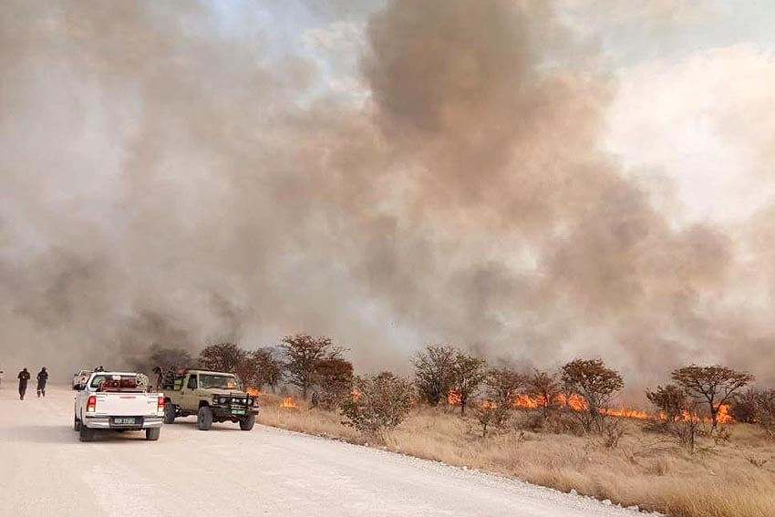 Major operation to combat bushfires in Etosha National Park northern Namibia Photo Ministry of Environment Forestry and Tourism MEFT