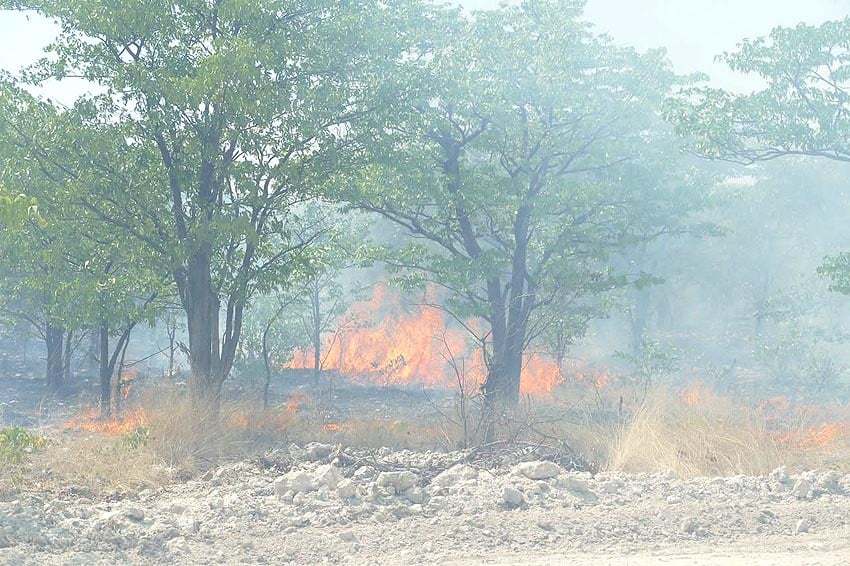 Wildfire in Etosha National Park in October 2026 Photo Ministry of Environment Forestry Tourism MEFT