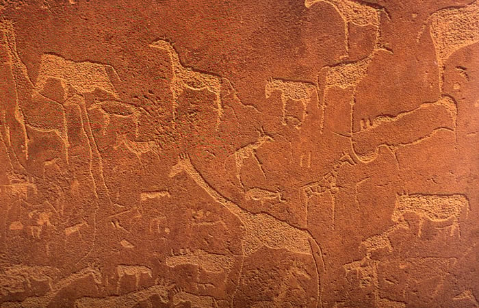 Twyfelfontein Rock Engravings (Gondwana Collection Namibia)