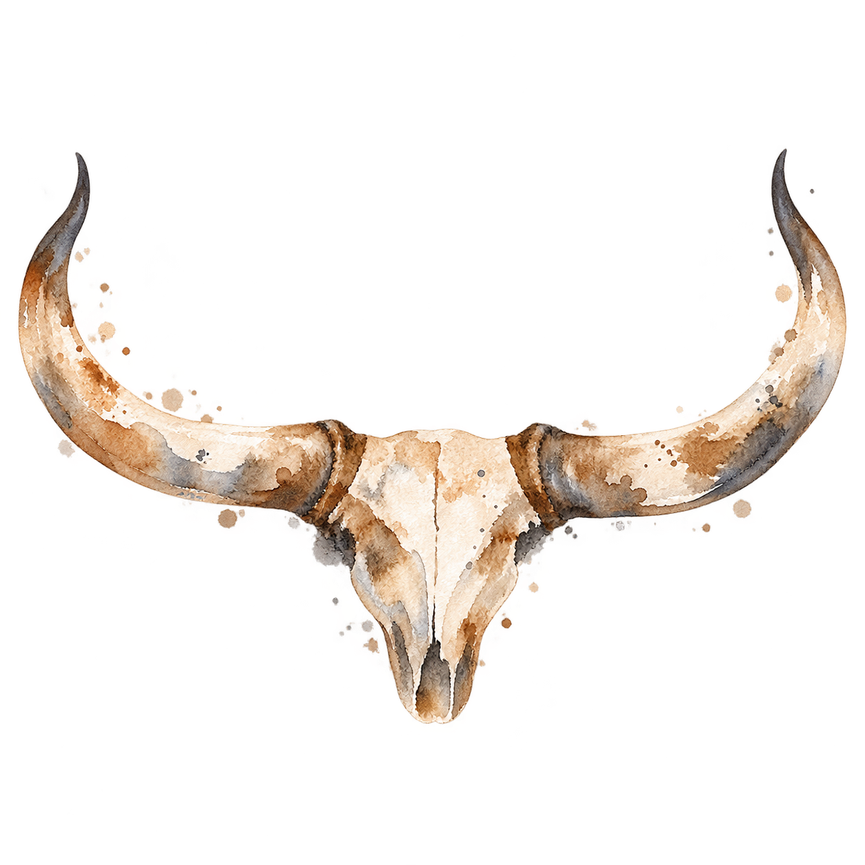 Watercolour illustration of cattle horns and skull, representing the cultural importance of cattle in OvaHerero history and pastoral traditions.