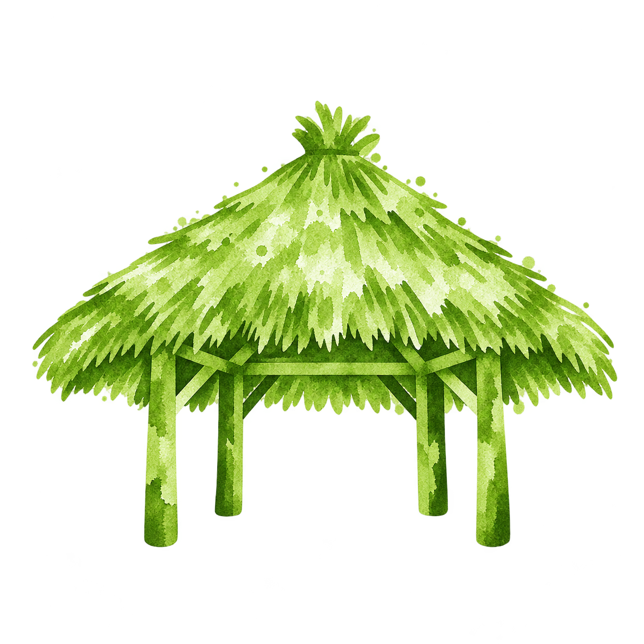 Lapa
