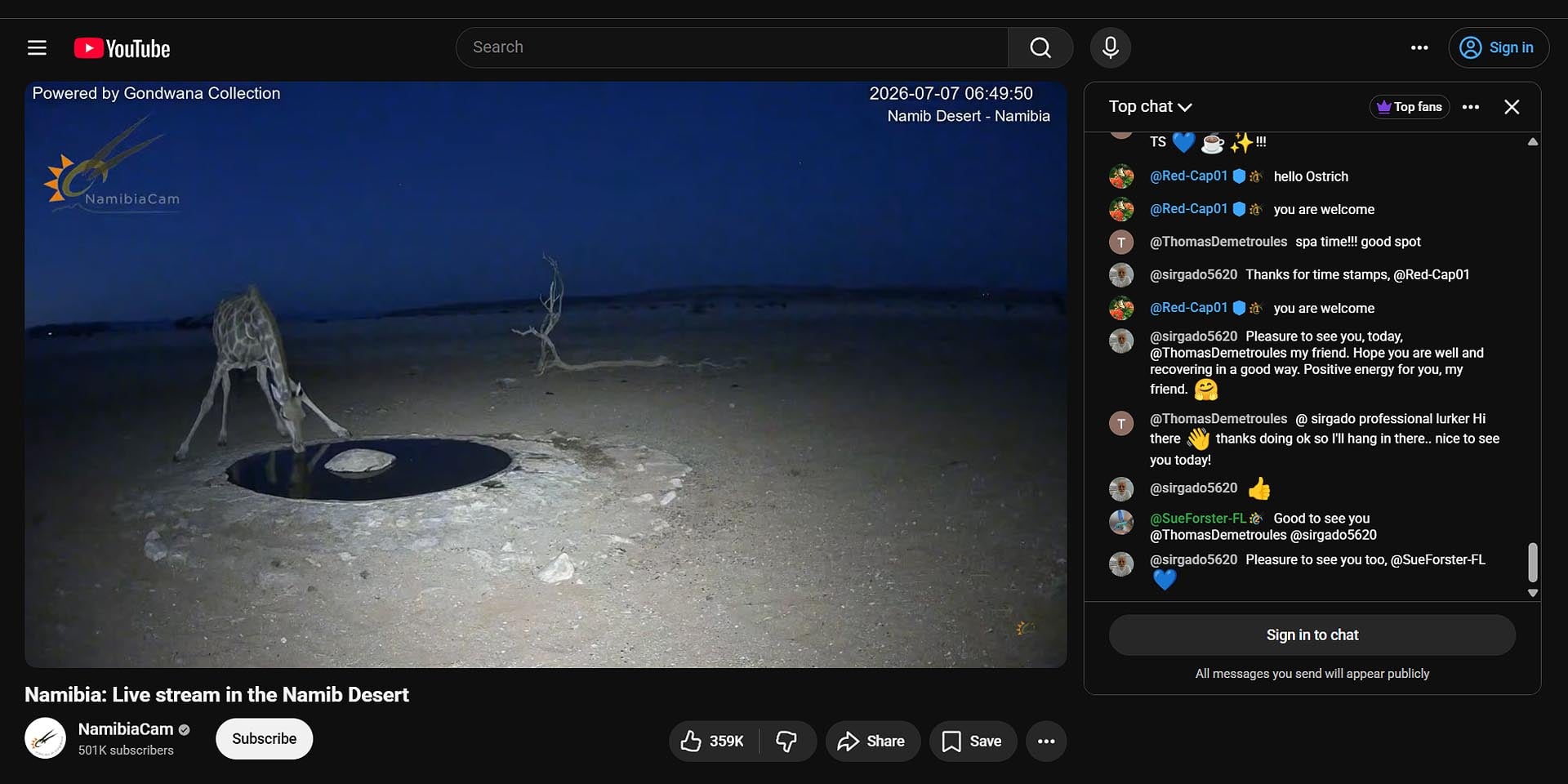 Witnessing live on Internet giraffe quenching its thirst 'Live Stream in the Namib Desert' on YouTube channel 'NamibiaCam' of Gondwana Collection Namibia Photo Screenshot of live stream