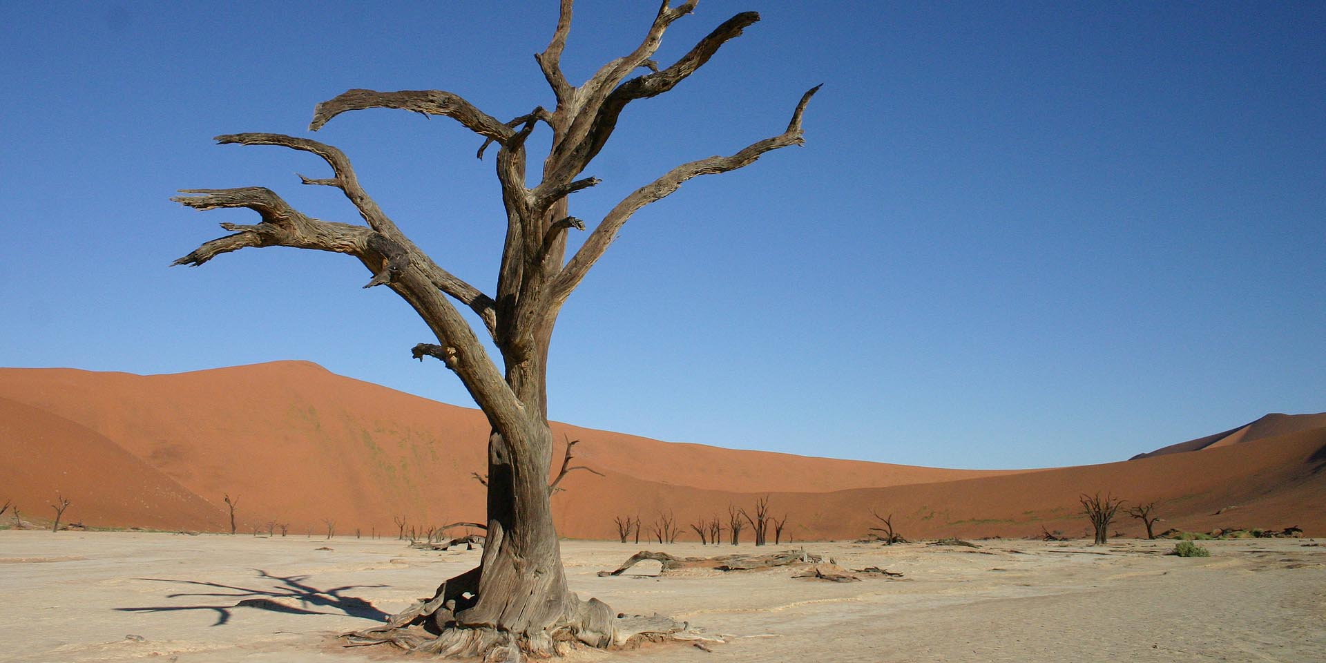 Continued free access for self-drivers to Sossusvlei