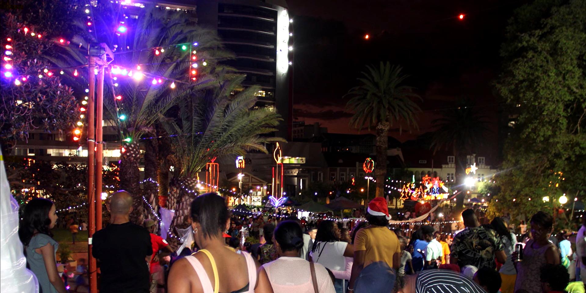Switch-on ceremony 5 December Christmas lights under palm trees Zoo Park city centre Windhoek Photo screenshot reel City of Windhoek Facebook page