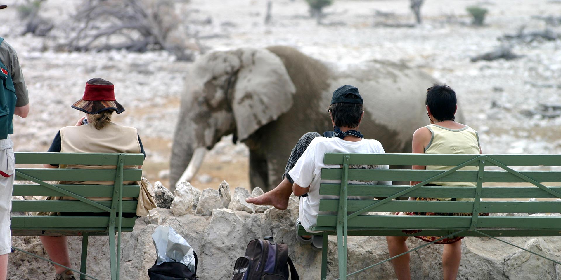 intimate elephant encounter at waterhole of Okaukuejo rest camp Etosha National Park northern Namibia Photo October 2005 Sven-Eric Stender