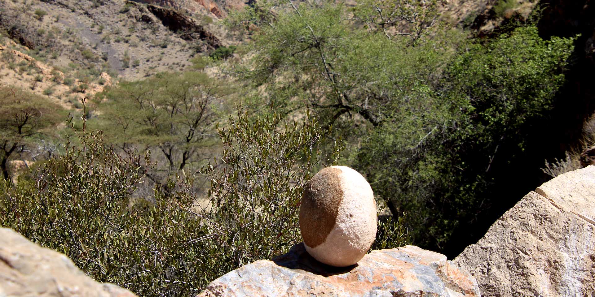 Easter in Namibia: heavy traffic over the long weekend