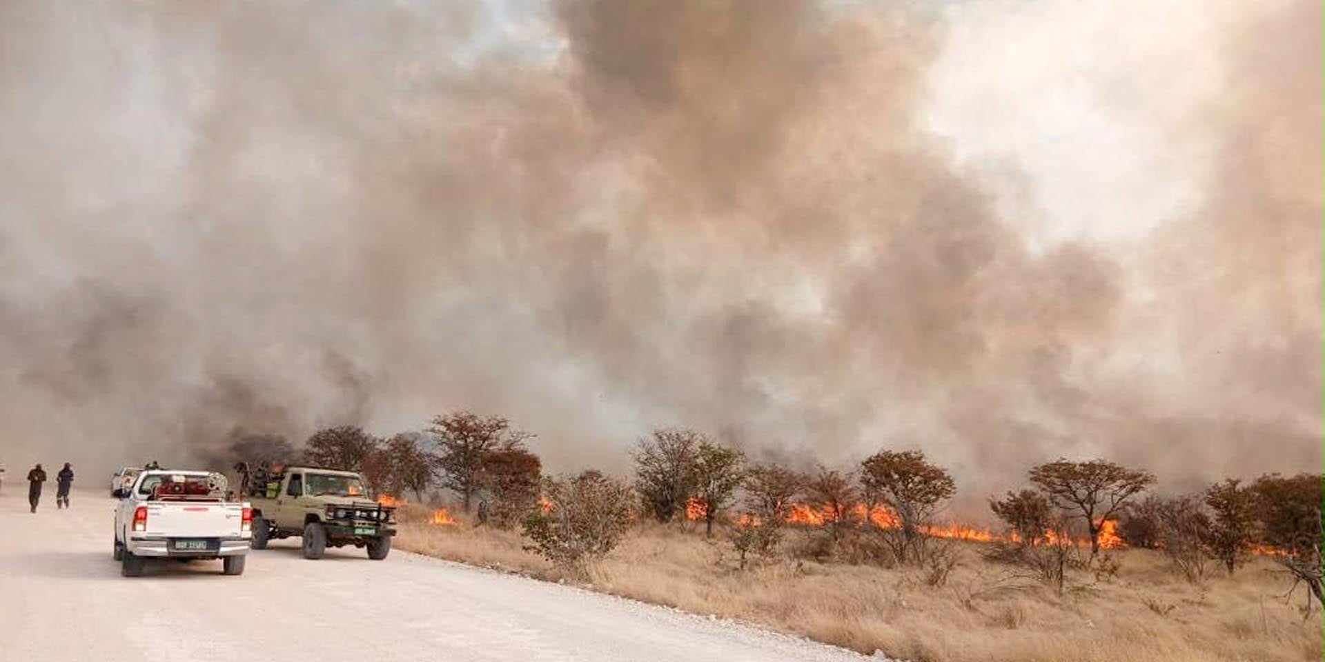 Bushfires in Etosha Park quickly contained