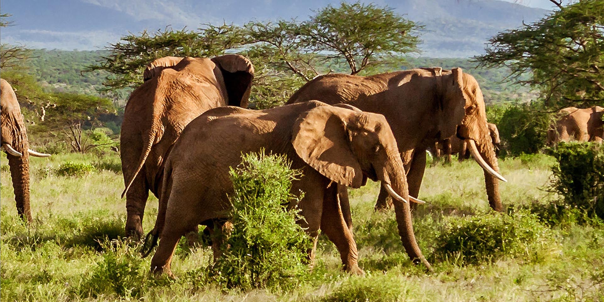 WWF: Namibia shows how conservation works
