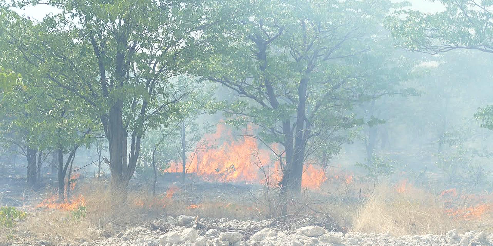 Wildfire in Etosha National Park in October 2026 Photo Ministry of Environment Forestry Tourism MEFT