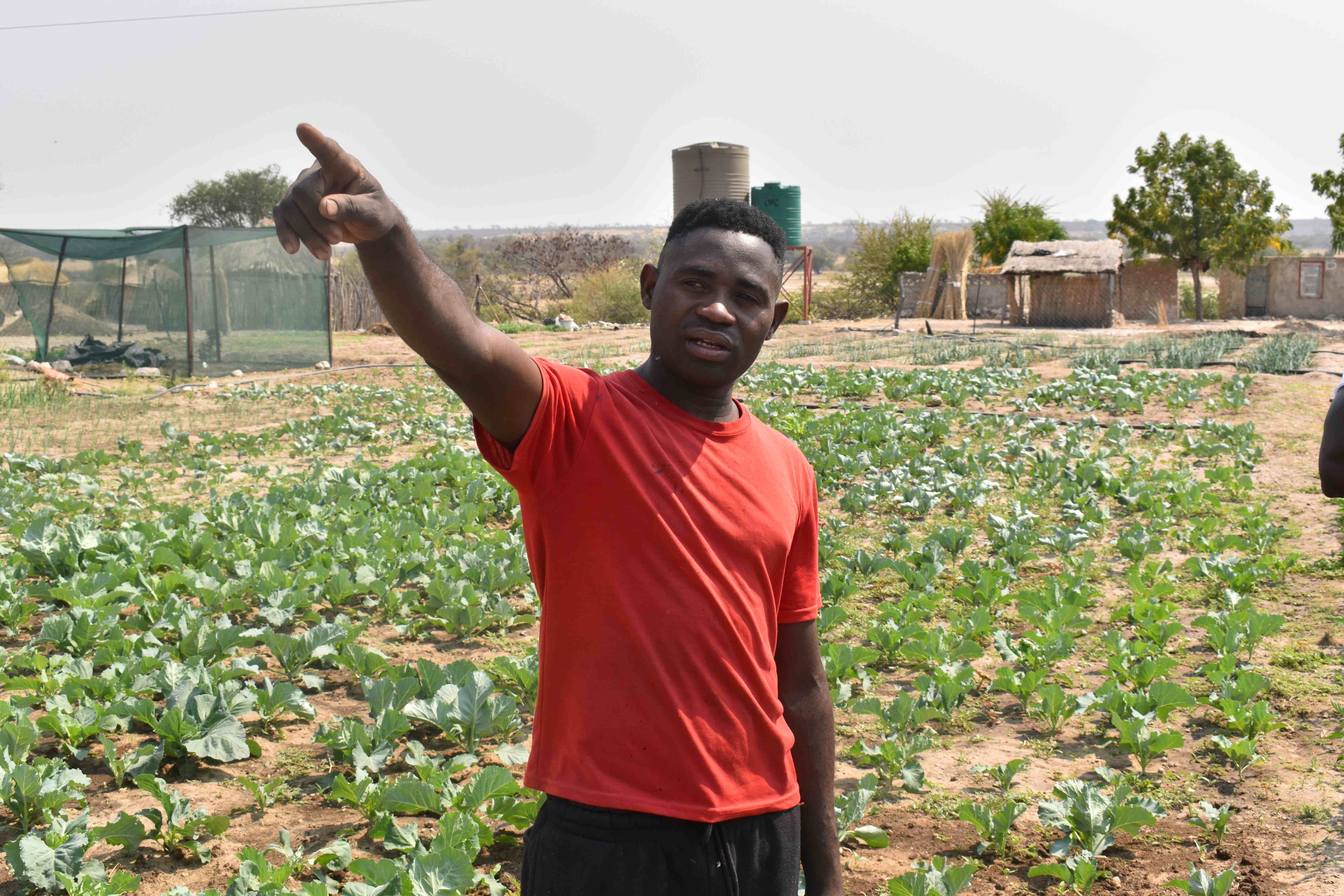 vegetable garden in Namibia