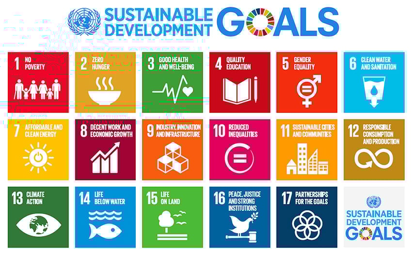 The 17 sustainable development goals
