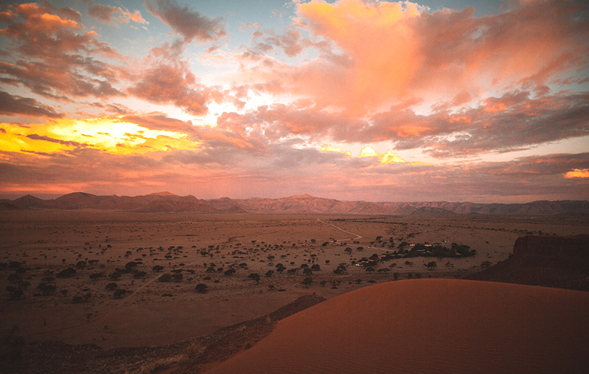 Namib Desert Affection