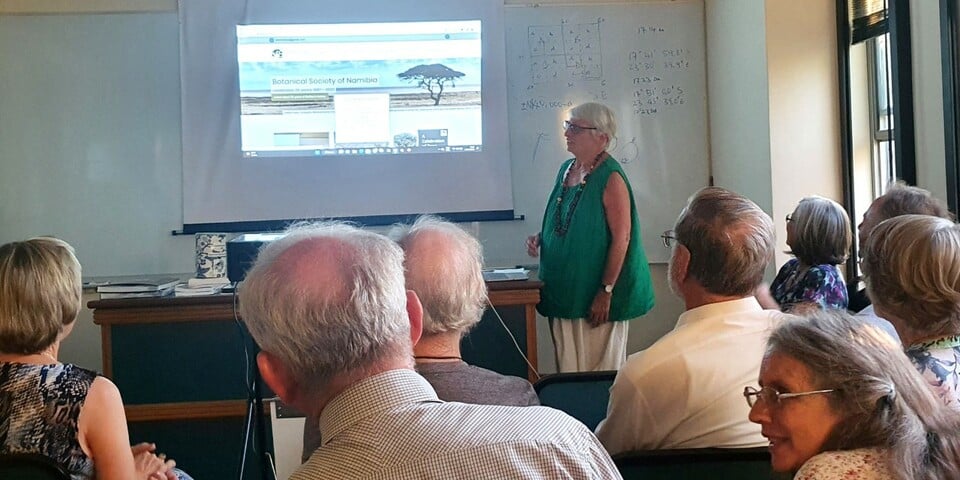 Website for Namibia plants 